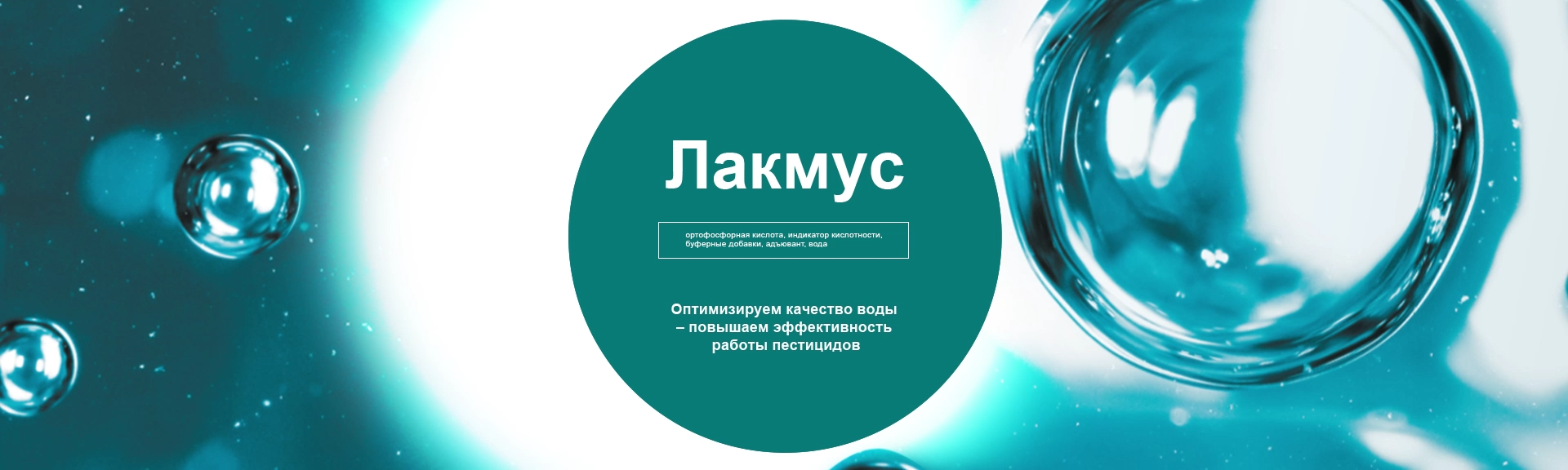 Лакмус