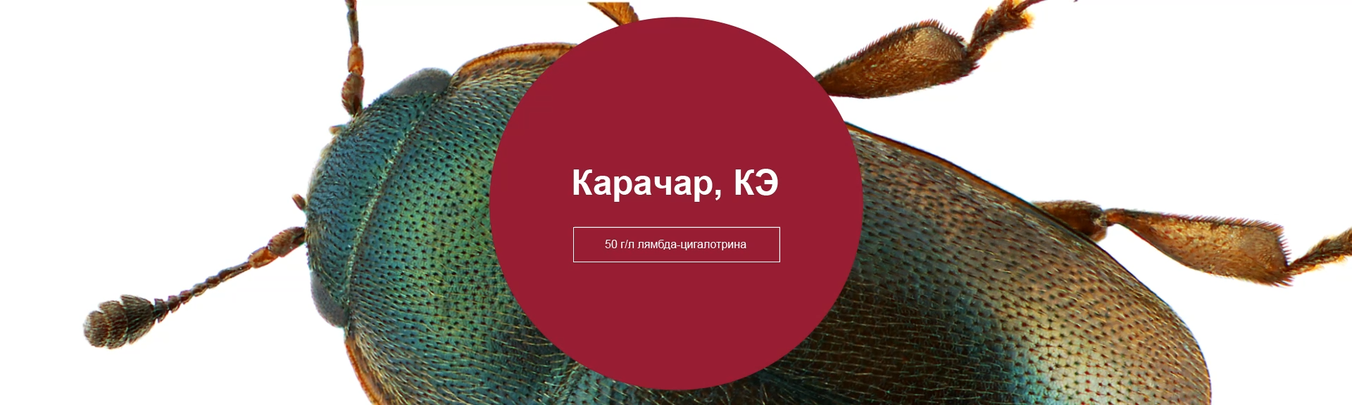 Карачар, КЭ