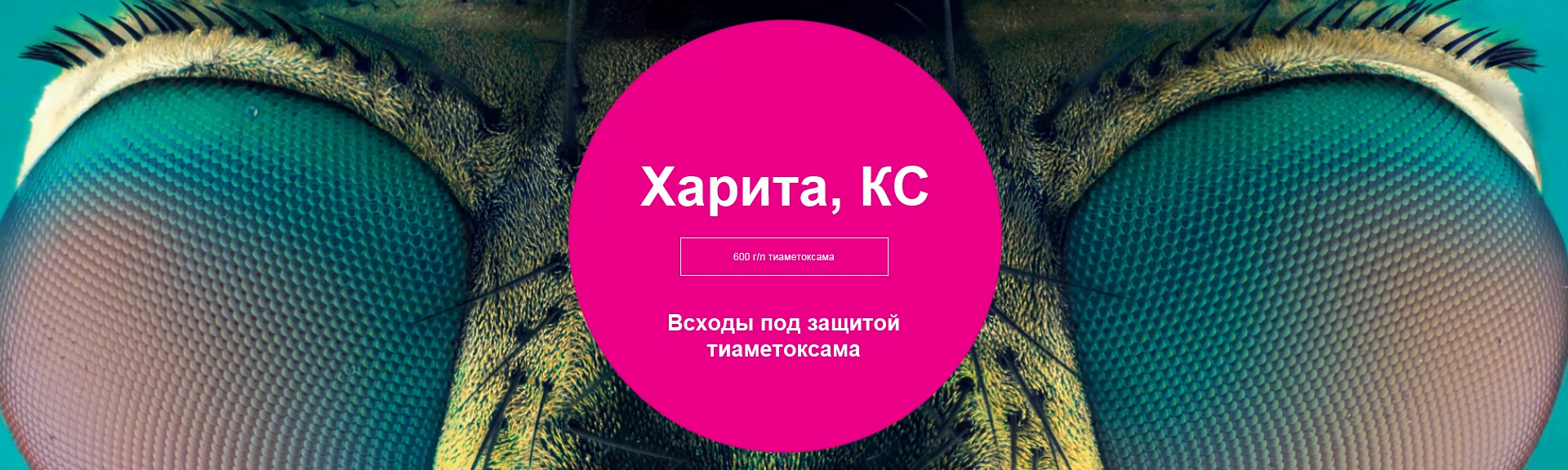 Харита, КС