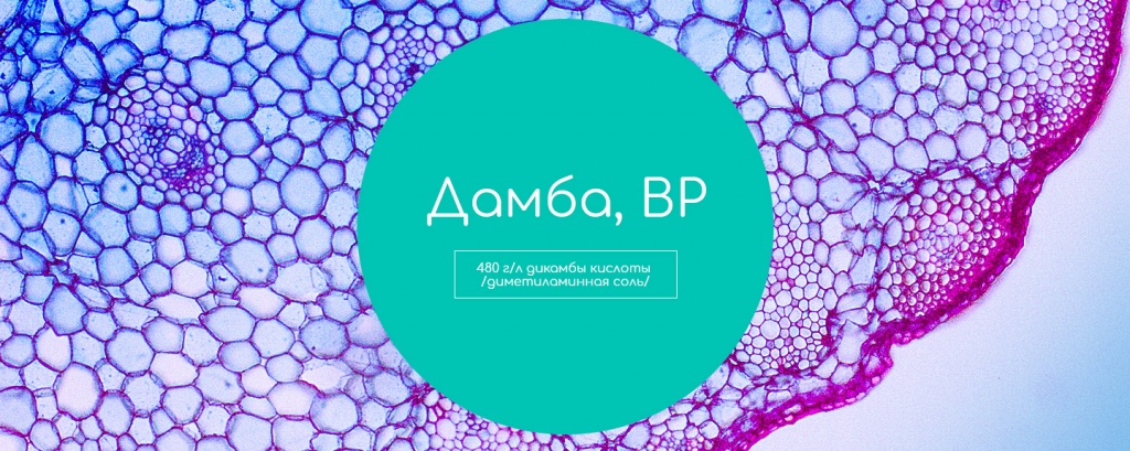 Дамба, ВР