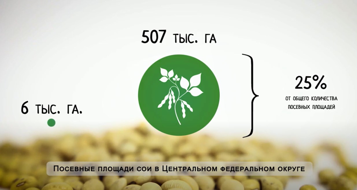 Честный рассказ о препаратах АО «Щелково Агрохим». Амурская область