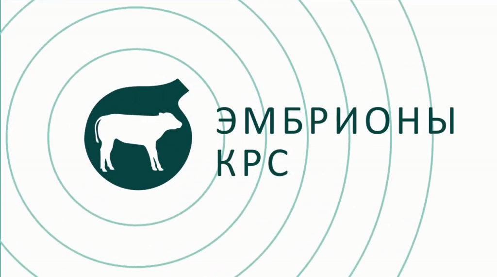 Эмбрионы КРС - Бетагран Липецк