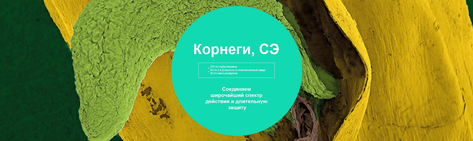 Корнеги, СЭ