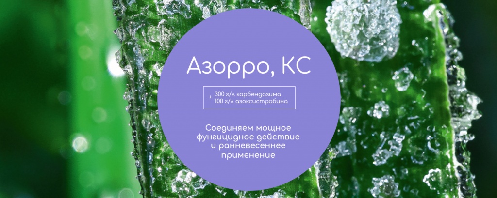 Азорро, КС