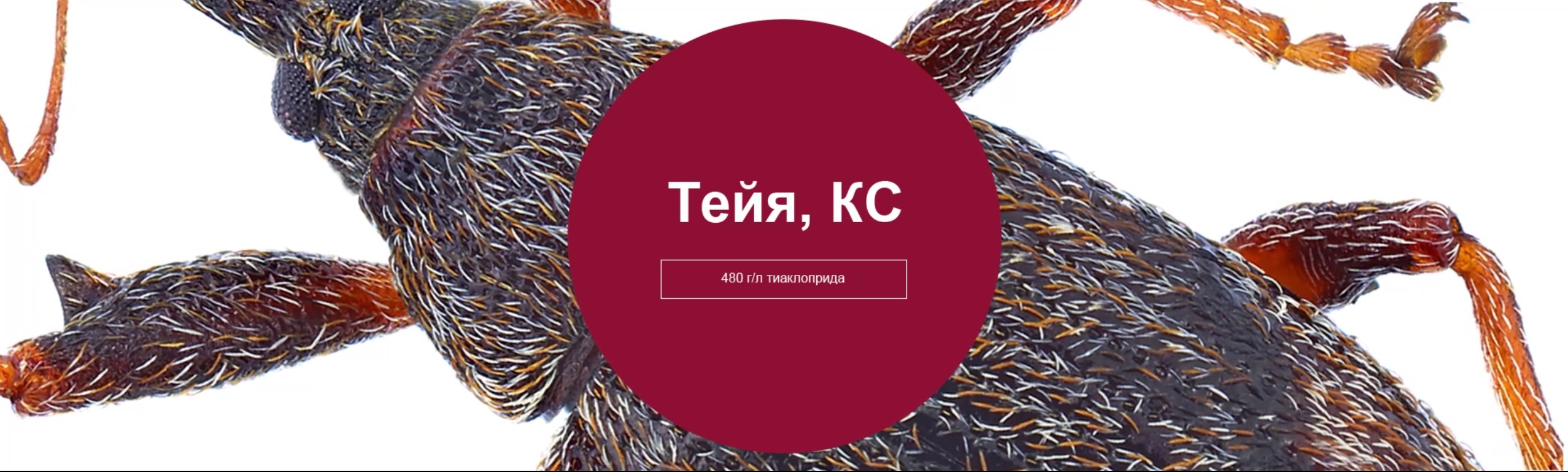 Тейя, КС
