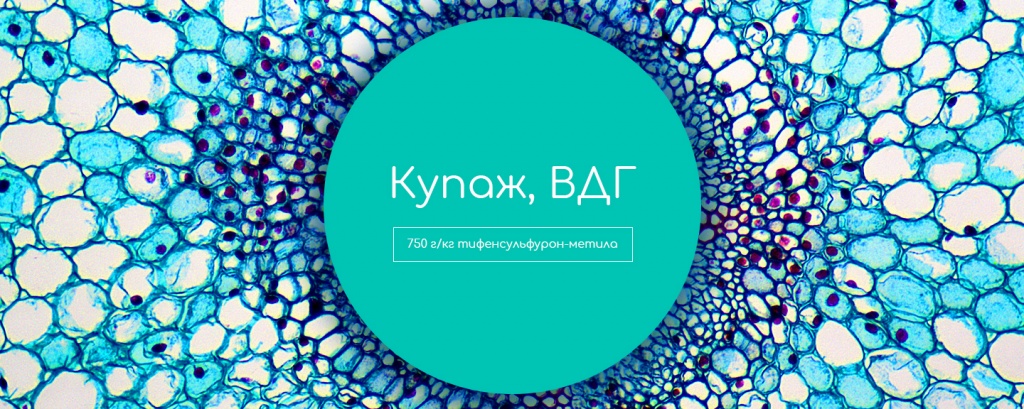Купаж, ВДГ