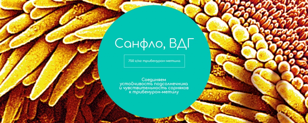 Санфло, ВДГ