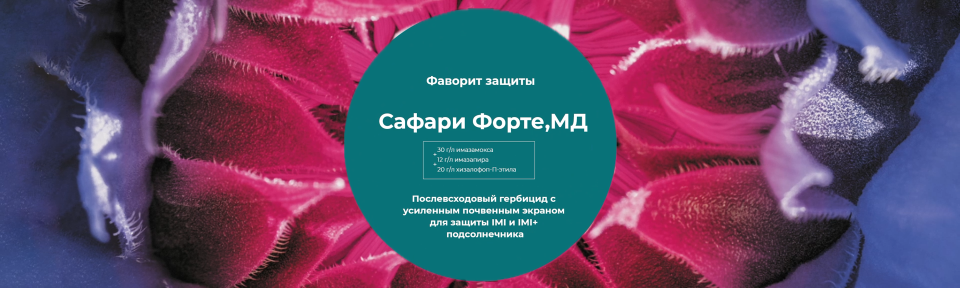 Сафари Форте, МД