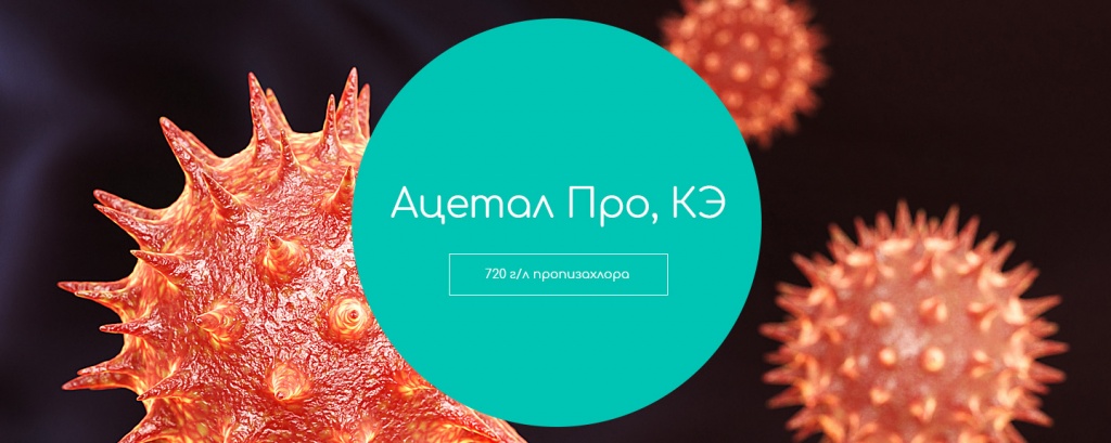 Ацетал Про, КЭ