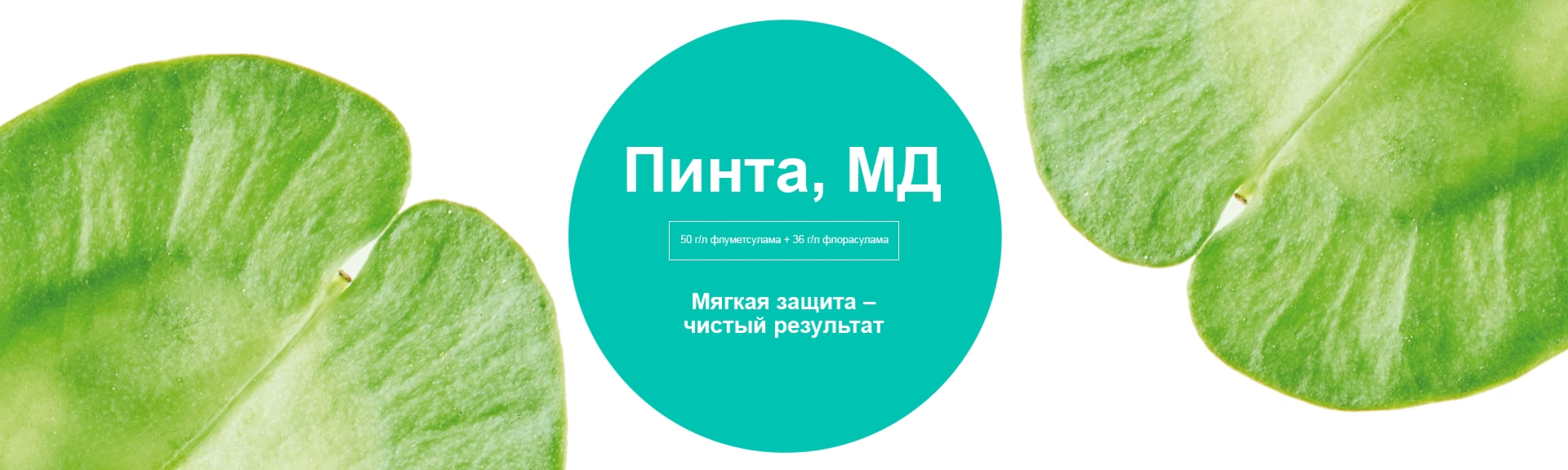 Пинта, МД