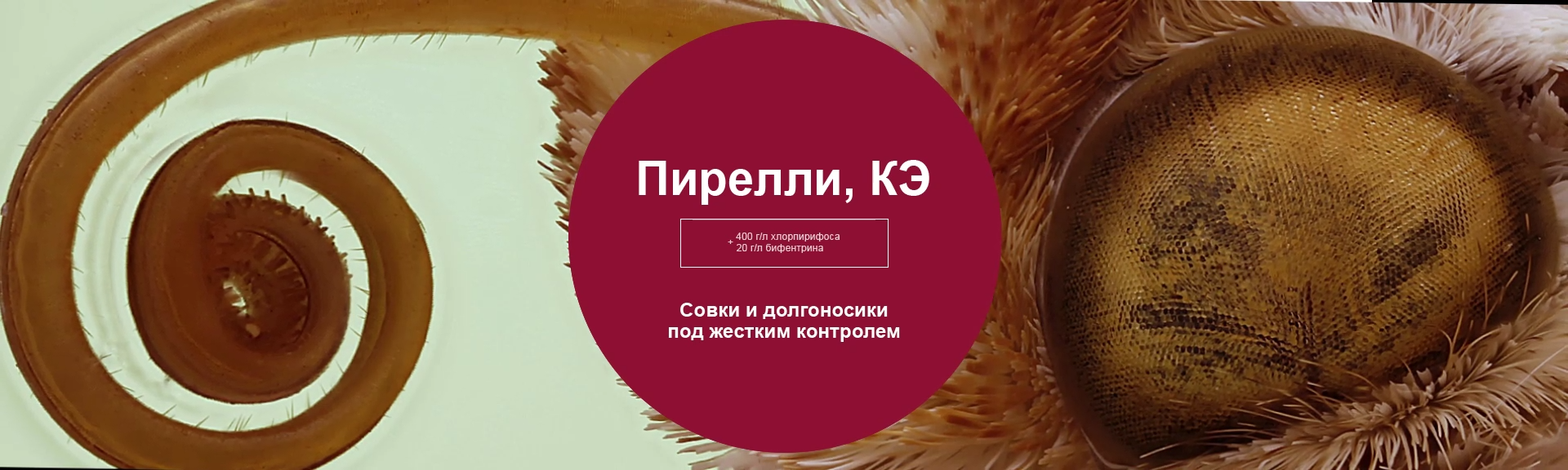 Пирелли, КЭ