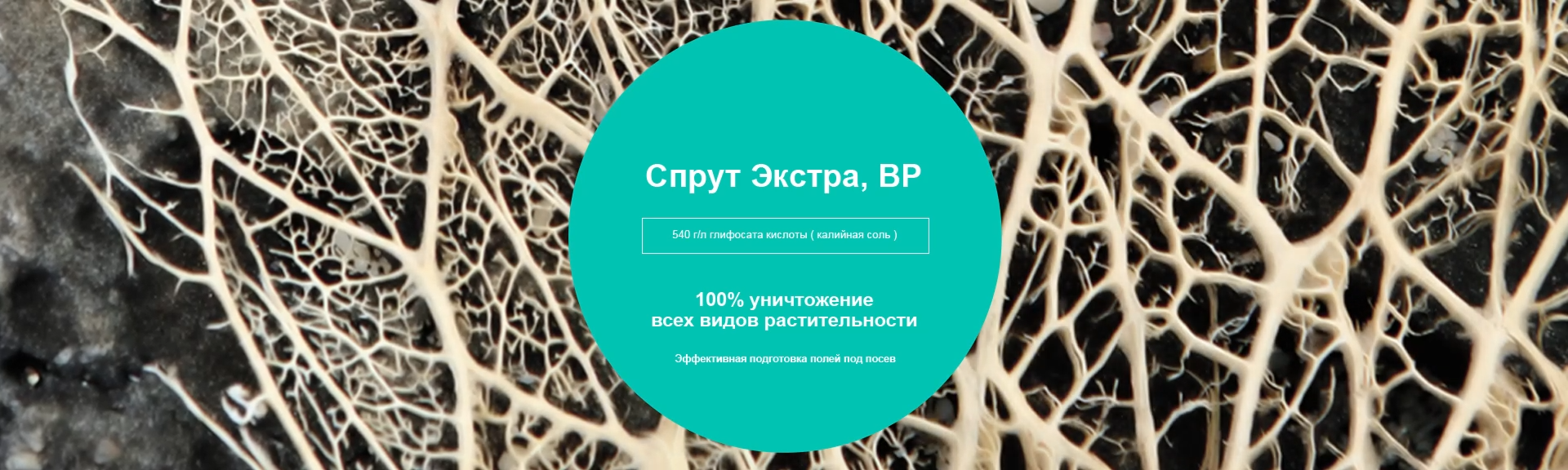 Спрут Экстра, ВР