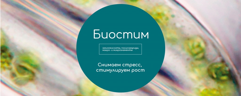 Биостим Масличный