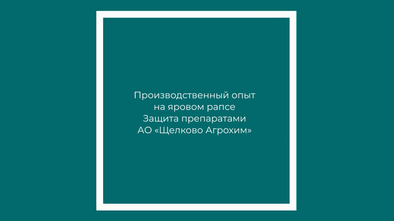 Защита ярового рапса препаратами АО «Щелково Агрохим». Республика Татарстан
