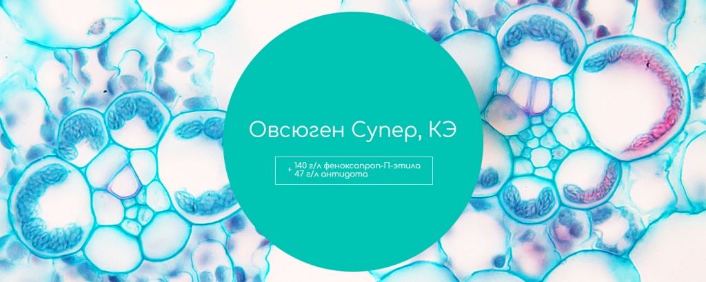 Овсюген Супер, КЭ