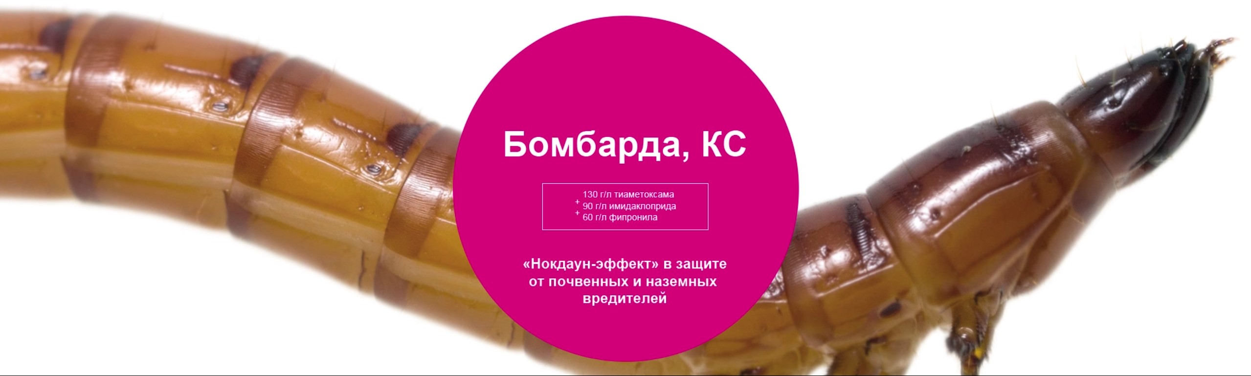 Бомбарда, КС