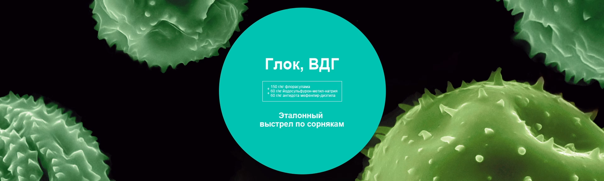 Глок, ВДГ