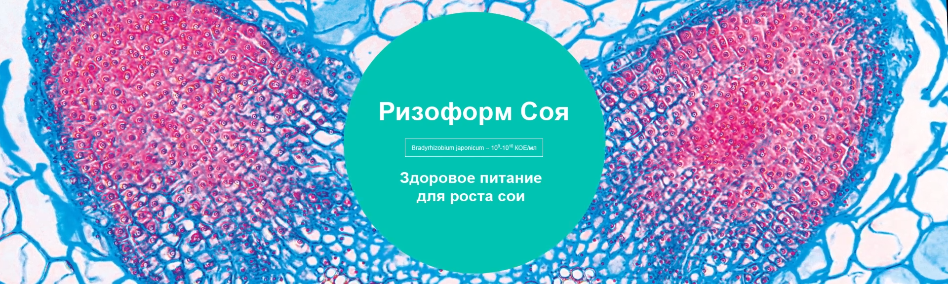 Ризоформ Соя