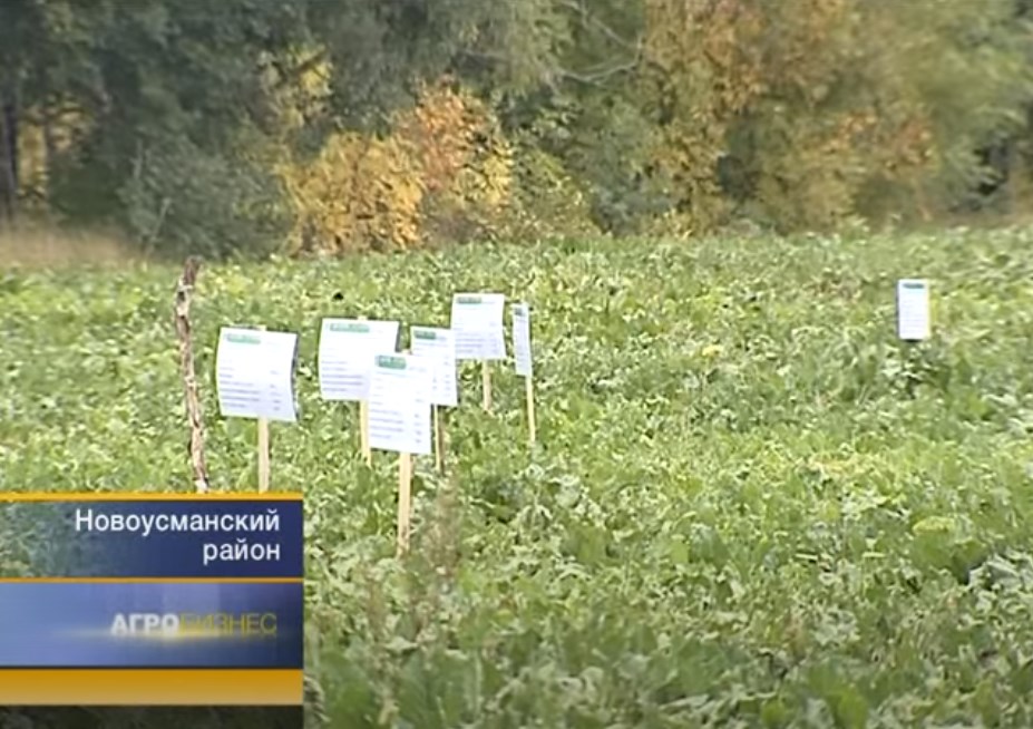 ООО «Бетагран Рамонь» в программе «АгроБизнес» (сентябрь 2013 г.)
