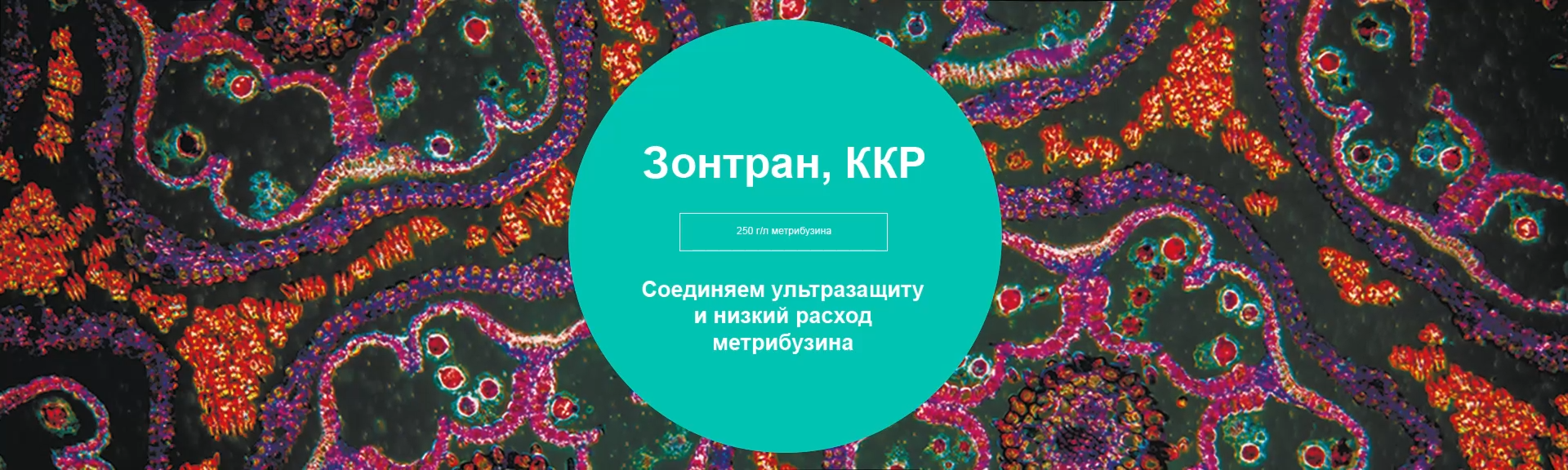 Зонтран, ККР