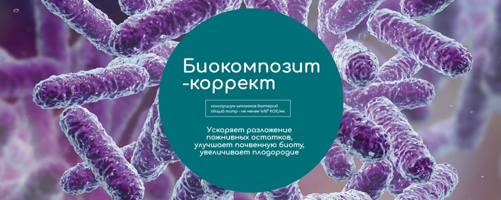 Биокомпозит-коррект