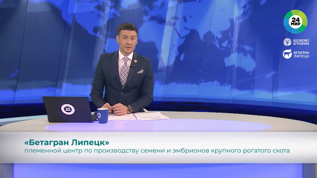 Эмбрионы элитных коров выращивают в Липецкой области