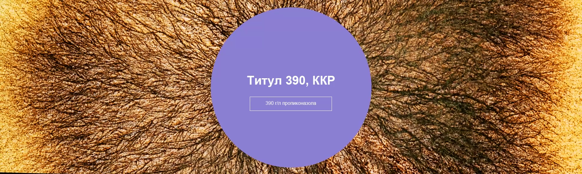 Титул 390, ККР