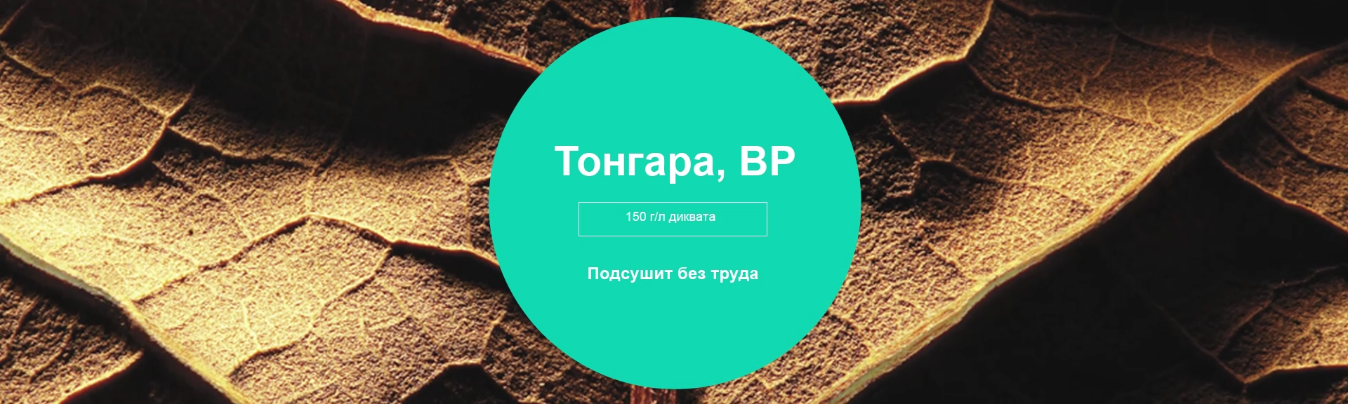 Тонгара, ВР