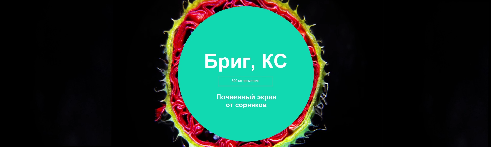 Бриг, КС