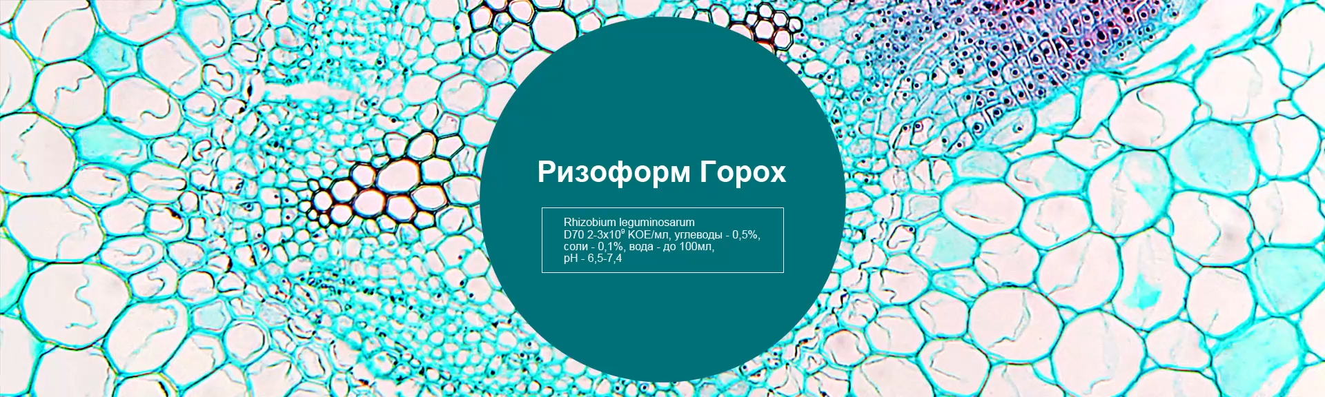 Ризоформ Горох
