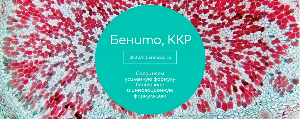 Опыт с препаратом Бенито, ККР 