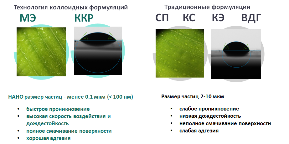 IMG_0006.PNG