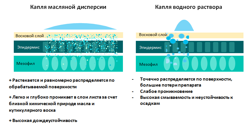 IMG_0007.PNG
